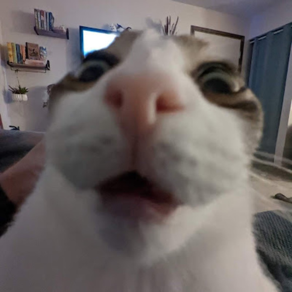mariapoda28